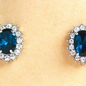 Royal Blue and Rhinestone Earrings